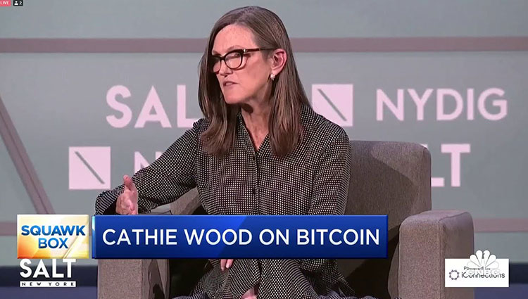 Cathie Wood Bitcoin Prognose 500000 Dollar