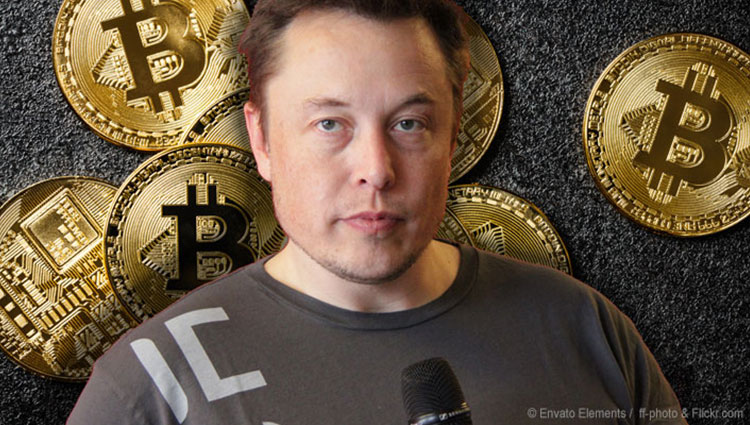 Elon Musk Bitcoin Investment
