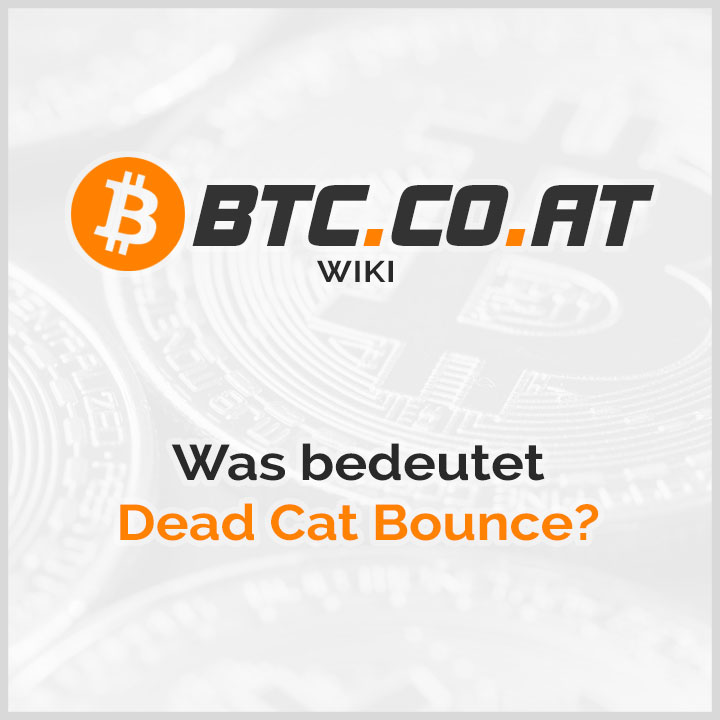 Dead Cat Bounce Bedeutung